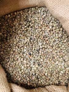 Café Vert Robusta PHALCO de Haute Qualité Grade 1 Tamis 16/18 Vietnam Meilleur Prix Prêt à l'Exportation en Sac de Jute - Product Image 3