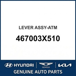 Elantra Nuevo, Otras Piezas y Accesorios para Autos y Camionetas 467003X510 - Product Image 1