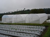 Filet d'ombrage AgroPro en HDPE pour serres agricoles, protection solaire et écrans d'intimité pour jardins