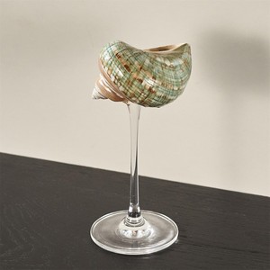 Un verre à vin attrayant en forme de coquillage marin et en verre, un excellent cadeau pour les amateurs de vin. - Product Image 1