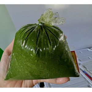 Hojas de Yuca Congeladas Premium con Empaque a Granel para Importadores Globales de Alimentos y Mercados de Alimentos Congelados - Product Image 3