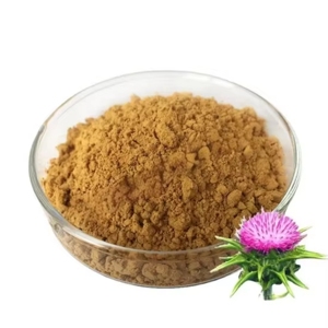 Poudre de Chardon-Marie 100% Pure et Naturelle, Poudre de Graines de Chardon-Marie de Qualité Supérieure pour Nutrition à Base de Plantes, Smoothies et Mélanges de Thés - Product Image 3