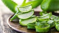 POLVO DE ALOE VERA ORGANICO Y NATURAL DE NUEVA CULTIVA CON PRECIO COMPETITIVO