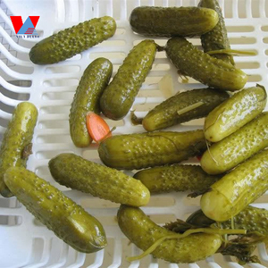 Bulk <b>Pickled</b> Cucumbers in Drum and <b>Jar</b> Packaging: Ideal <b>for</b> Food Processing & Retail/ Ms. Lima - Product Image 5