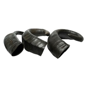 Friandise pour chien écologique en corne de buffle d'eau séchée, 100 % naturelle et brute, pour une vraie digestion saine - Product Image 3