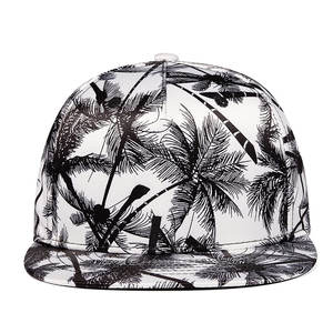 Gorra Deportiva de Diseño Nuevo, Gorra de Béisbol de Alta Calidad a Precio Económico, Gorras Snapback con Logotipo Personalizado, Servicio OEM - Product Image 2