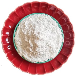 Polvo de Carbonato de Calcio Recubierto Acrílico VNT-3C de Nhat Thang Vnt7 Jsc para Aplicación por Pulverización, Pintura Plástica, Recubrimientos para Construcción Naval - Product Image 5