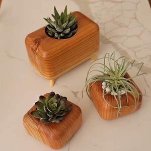 Soporte vertical de madera de varios niveles para jardín vertical con etiquetado privado, para cultivo de hierbas, flores y vegetales en balcones y espacios pequeños. - Product Image 2