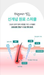 Cosmétiques coréens Angellooka CICA REPAIR SPICULE AMPOULE 100 12ml (2ml*6EA) - Product Image 3