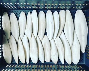 Hueso de sepia seco al por mayor de Vietnam Factory/Katty - Product Image 2