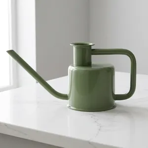 Arrosoir portable en métal, pichet à eau, verseur à faible pression, couleur personnalisée, arrosoir d'intérieur et d'extérieur - Product Image 2