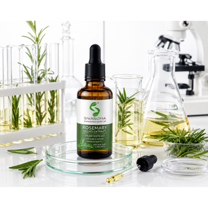 Extrait liquide de romarin de qualité professionnelle pour formules de beauté à base de plantes, développement de produits naturels et distribution en gros - Product Image 3