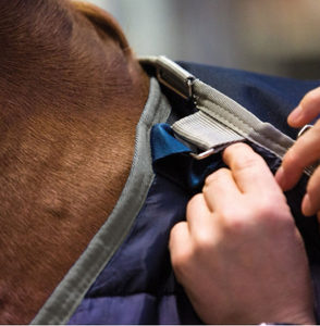Nouvelle conception, couvertures équestres de haute qualité, vente exceptionnelle, couverture respirante pour chevaux, logo personnalisé disponible à bas prix - Product Image 6