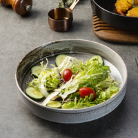 Yayu Vaisselle Japonaise Fine en Céramique, Plateau Noir, Assiettes Rustiques pour Sauce et Dessert, Style Oriental pour Restaurant