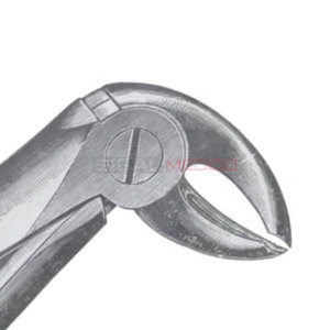 Fig. 15 Pinces d'extraction dentaire manuelles allemandes en acier inoxydable à dents de différentes tailles, instruments dentaires, prix de gros, fournisseur en gros - Product Image 6