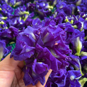 Vietnam Wholesale Supplier Premium Dried Butterfly Pea Flower Bulk Export Quality Dried Butterfly Pea Flower For Tea Use - Product Image 1