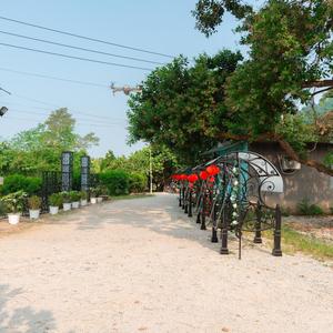 Chaise suspendue de patio en fer forgé sur mesure, ensemble de balançoire de jardin extérieur, structure métallique durable, design élégant, résistant aux intempéries, confort optimal pour le parc - Product Image 2