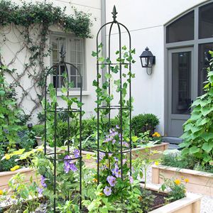 6,2 piedi leggero antiruggine giardino obelisco Trellis Stand in metallo rivestito in plastica alto traliccio torre recinzioni e cancelli - Product Image 2