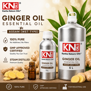Aceite de Jengibre de Alta Calidad Assam (Tipo Húmedo) Destilado al Vapor, Certificado Orgánico, Zingiber officinale, Fabricante a Granel, Exportador Global - Product Image 2