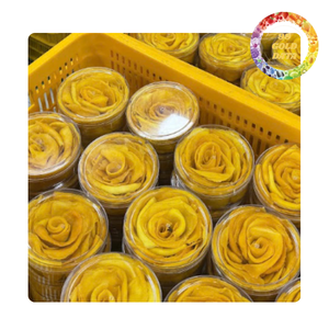Rodajas de mango deshidratado aptas para marcas de snacks, cadenas minoristas y negocios de exportación - Product Image 1