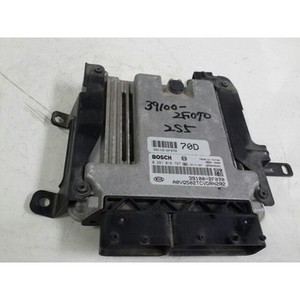 ECUs y Módulos de Computación Usados para Carnaval 391002F070 - Product Image 1