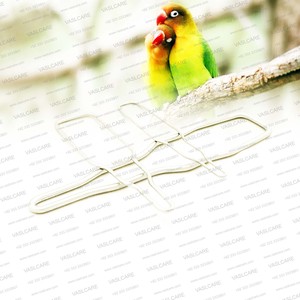 Professional Avian Oral Speculum Set 3pcs Stainless Steel Veterinary Bird Mouth Gag Instrument <b>Kit</b> Vaslcare - Product Image 2