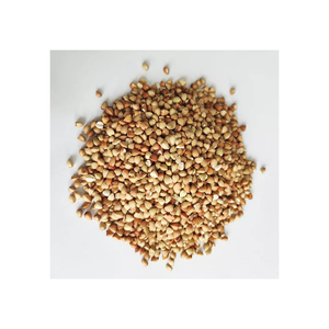 Vente en gros de sarrasin torréfié de qualité supérieure à prix avantageux - Product Image 1