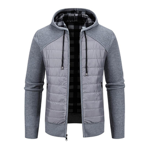 Sweat-shirt gris tendance à capuche et fermeture éclair, coupe droite, décontracté, pour l'automne, en polyester tricoté avec doublure en coton à carreaux, coupe-vent - Product Image 1