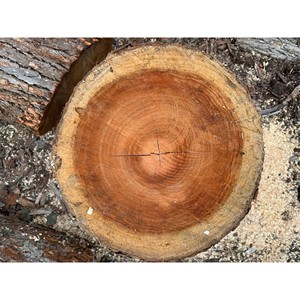 Corteza de madera de grado comercial con propiedades confiables de retención de humedad y supresión de malezas - Product Image 6