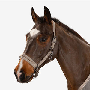 Harnais réglable de haute qualité pour courses de chevaux, 100% polyester, équipement équestre personnalisable - Product Image 1