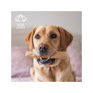 EXPÉDITION LE JOUR MÊME Bâton à mâcher durable en bois de café pour chien, pour le nettoyage dentaire et l'entraînement à la mastication, écologique, export en vrac - Product Image 1