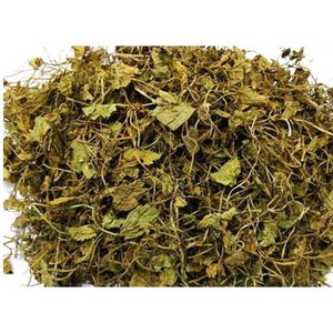 Extracto de Bacopa Monnieri de Grado Premium para Cápsulas Herbales, Tabletas y Productos de Bienestar, Disponible en Grandes Cantidades - Product Image 2