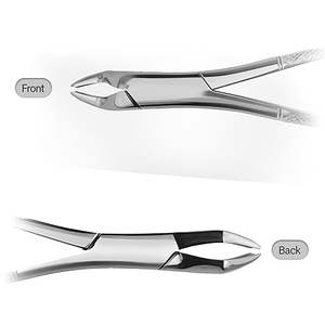 Pinzas de Extracción Dental de Alta Precisión, Alicates de Ortodoncia, Instrumentos Dentales Quirúrgicos para Clínicas, Aprobados por ISO - Product Image 3