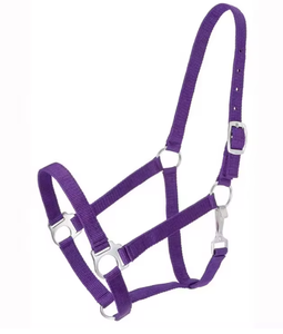 Cabestro Ajustable de Nailon Premium para Caballo con Herrajes Resistentes, Modelo DI'NH'010, Equipo Ecuestre de Divine International - Product Image 2