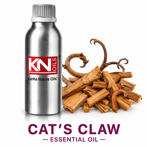 100% Pure Steam Distilled Cat's Claw <b>Essential</b> <b>Oil</b> Bulk Manufacturer Uncaria Tomentosa <b>Oil</b> Organic Certified Global Exporter - Product Image 1