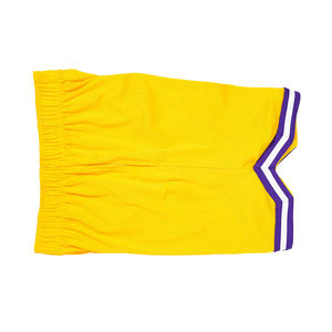 Pantalones Cortos Deportivos de Baloncesto Transpirables de Malla para Gimnasio, con Logotipo Personalizado, para Hombre, al por Mayor - Product Image 3