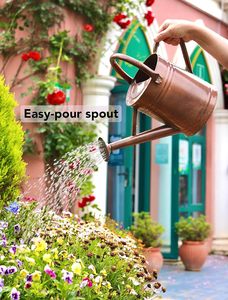 Vintage Galvanized Steel Watering Can for Outdoor Plants Gallon Metal Copper Finish Gardening Watering Can with Long Spout - Product Image 5