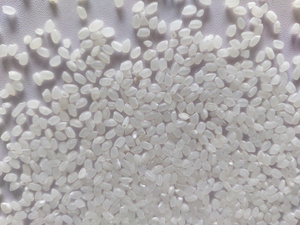 Venta Directa al por Mayor de Arroz Japonés Aromático Seco de Grano Medio para Sushi, Certificado ISO, en Bolsas de 5 kg, Proveedores MRS BELLE - Product Image 6