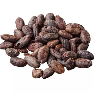 เมล็ดโกโก้ออร์แกนิก - เมล็ดโกโก้แห้งคุณภาพพรีเมียมขายส่ง - Product Image 3