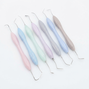 Kit de Instrumentos Dentales de Silicona para Rellenos de Composite, 5 Piezas, Certificado CE, Manual, Clase I - Product Image 6
