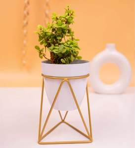 ชั้นวางต้นไม้เหล็กตกแต่งสวนและบ้าน สีเขียว สำหรับจัดวางต้นไม้และดอกไม้ - Product Image 2