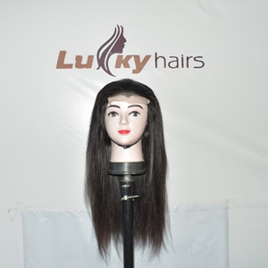 Raw Bone Indian Straight Natural Wave Human Hair HD <b>Lace</b> <b>Frontal</b> <b>Wig</b> Glueless Preplucked Single Donor Unprocessed Remy - Product Image 2