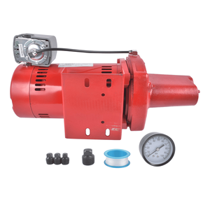 Pompa a getto per pozzi poco profondi in ghisa da 1 HP, 23 GPM, 65 PSI, 115/230 V, RJS 100 PREM, Pompe acqua Premium - Product Image 5
