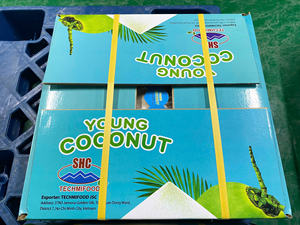 มะพร้าวสดเขตร้อนจากเทคมิเฟูดเวียดนามแหล่งกำเนิดการส่งออกมาตรฐาน - Product Image 5