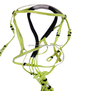 Horse Equipment Equestrian Wholesale Light Green PVC Horse <b>Bridle</b> with Reins - Product Image 2