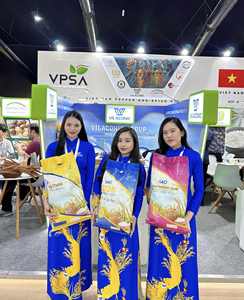 Proveedor Principal de Vietnam - Arroz Aromático de Grano Largo (Jasmine, KDM, ST25) Aroma Arroz Riz Au |   Sra. Aurora+OO84919574297 - Product Image 6