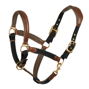 Harnais en corde tressée PP de 1 pouce de large, haute qualité, pour course d'endurance équine, avec quincaillerie métallique réglable, écologique, couleur personnalisable - Product Image 1