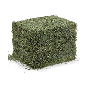 Heno de Timothy Clean Harvest para alimentación de conejos en pacas compactas con estructura de hojas suaves, bajo contenido de polvo, apto para manipulación y embalaje de exportación. - Product Image 1