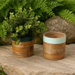 Juego de 2 Macetas de Madera Hechas a Mano, Modernas Macetas de Madera Pintadas a Mano para Plantas de Interior, Decoración del Hogar, Accesorios de Mesa - Product Image 4