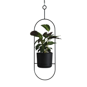 Eco-Friendly Metal Plant Hanger Powder Coated Iron Hanging Flower <b>Pot</b> With Chain Luxury Decorative Garden Planter For Balcony - Product Image 3